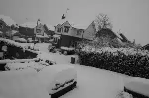 a view of the snow from my house.