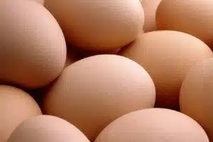 eggs