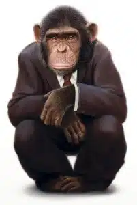 monkeysuit