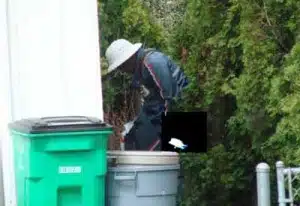 postman-shit