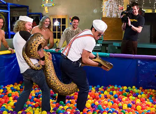 ryan dunn snake