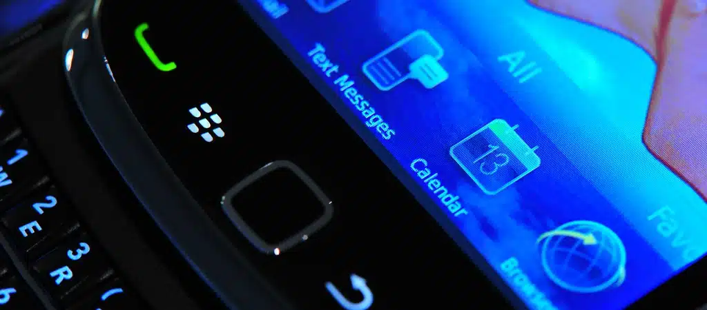 Blackberry Torch
