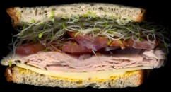 BEST NEW TUMBLR FIND – SCANWICHES Scanning sandwiches and then making a website about the results! Why didn't anyone think of this before?
