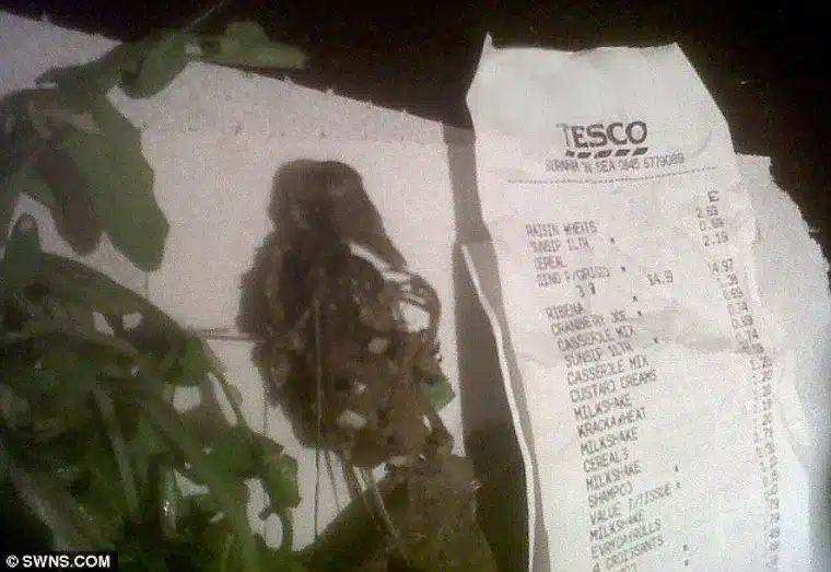 Dead-Bird