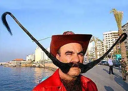 Moustache Handlebar