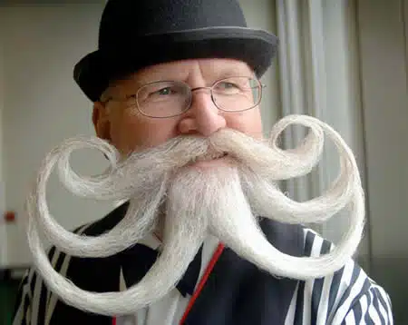 Moustache Squid