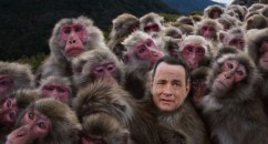 BEST NEW TUMBLR FIND – TOM HANKS IS A LOT OF ANIMALS Sticking Tom Hanks' face on animals. It's genius right?