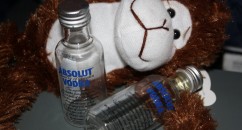 Preston James Phipps has been jailed for assaulting a police offer with a stuffed monkey in Des Moines, Iowa.