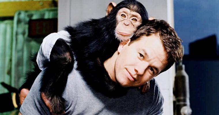 Marky Mark and the Monkey Bunch
