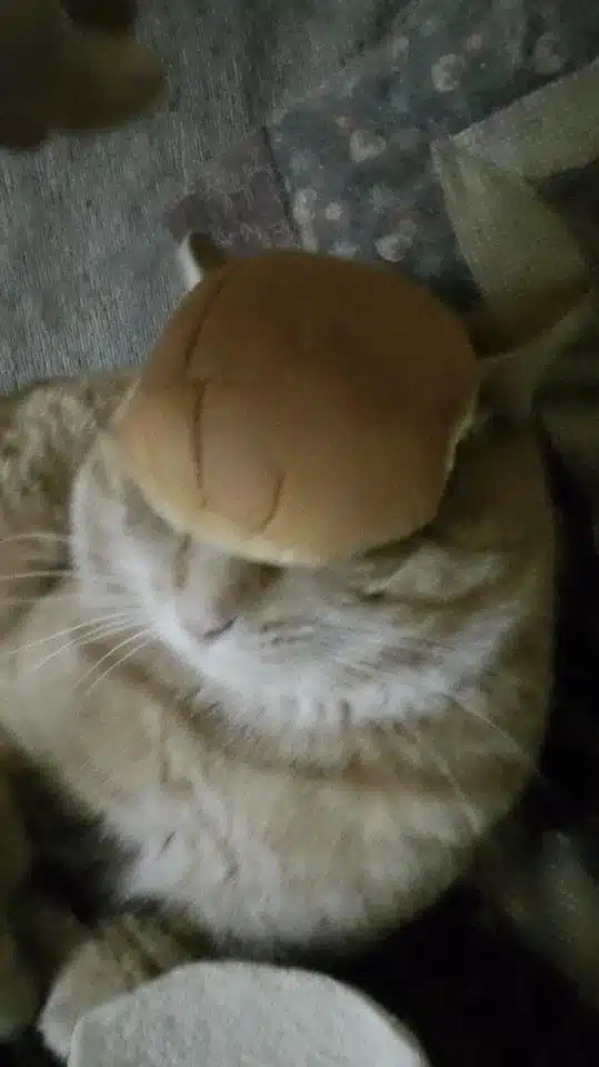 Breading-Fail