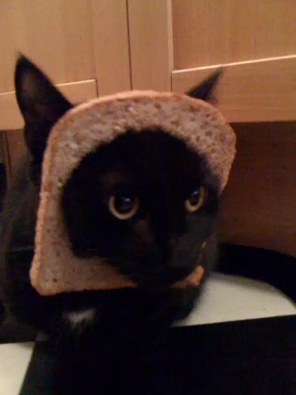 Breading2