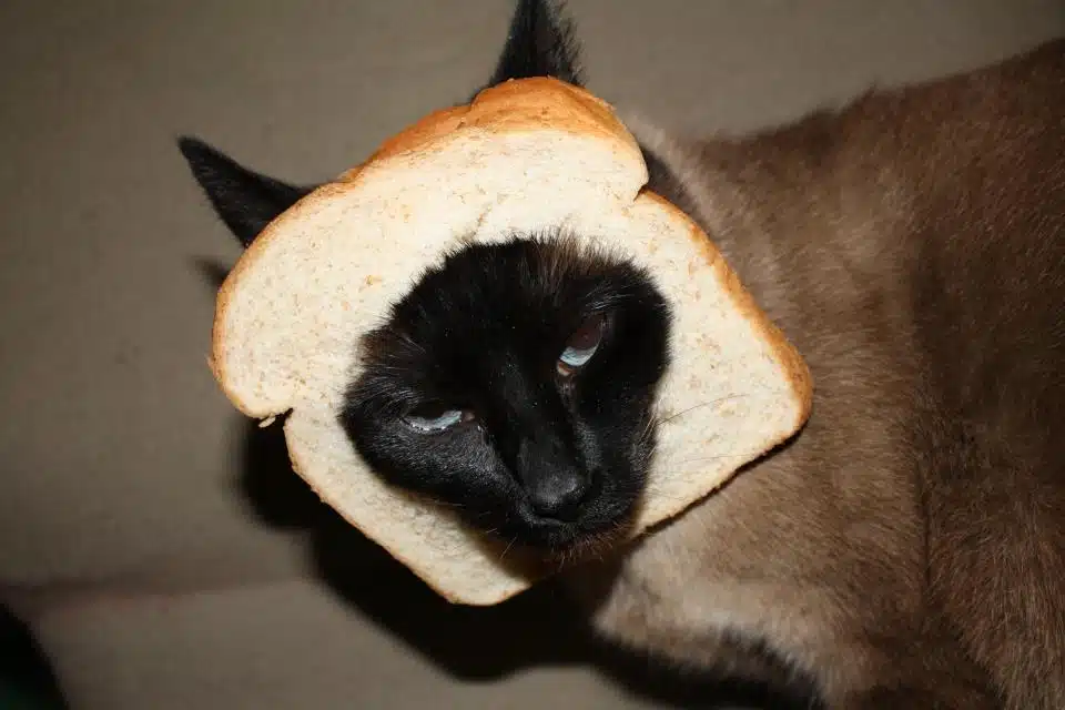 Breading3