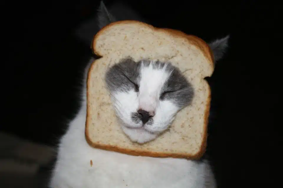 Breading5