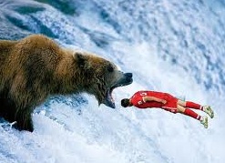 Salmon Diving