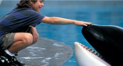 You might want to cancel your trip to Seaworld.