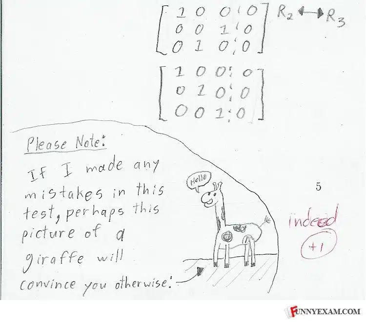 funny exam paper