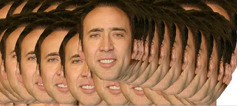 Nic Cages Face