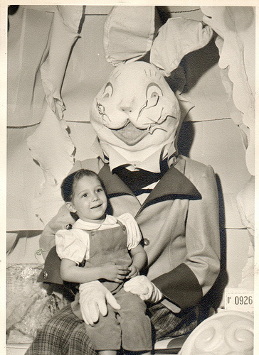 Scary bunny 8
