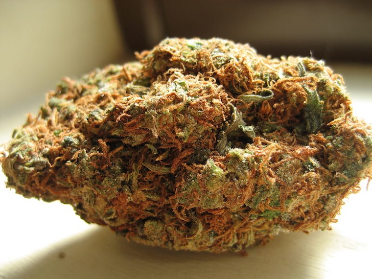 Sprayed cannabis