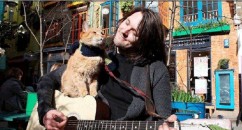 James Bowen and his cat Bob: how they saved each other, then found a route to happiness.
