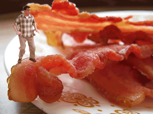 chandler dancing on bacon
