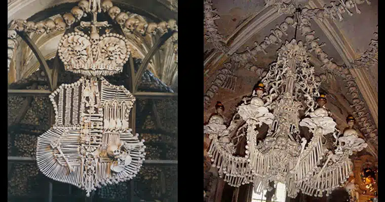 Bone chandelier Bone Chandelier