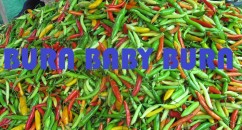 Curry 101: What You Should Know About Britain’s Favourite Dish Curry: why it came here, what it's good for and what it's bad for.