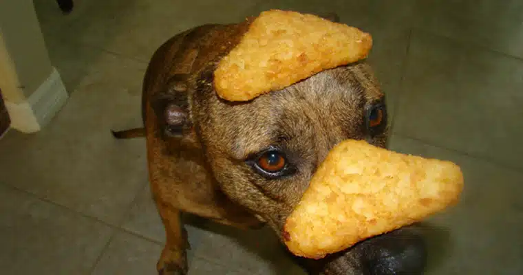 Hash browns Hash Browns