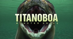 Titanoboa: Super Massive Snake TITANOBOA: Urgent information regarding a massive prehistoric snake, and why humans are sickos.