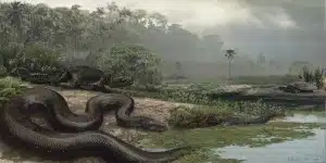 Titanoboa Massive Killer Snake Titanoboa Massive Killer Snake