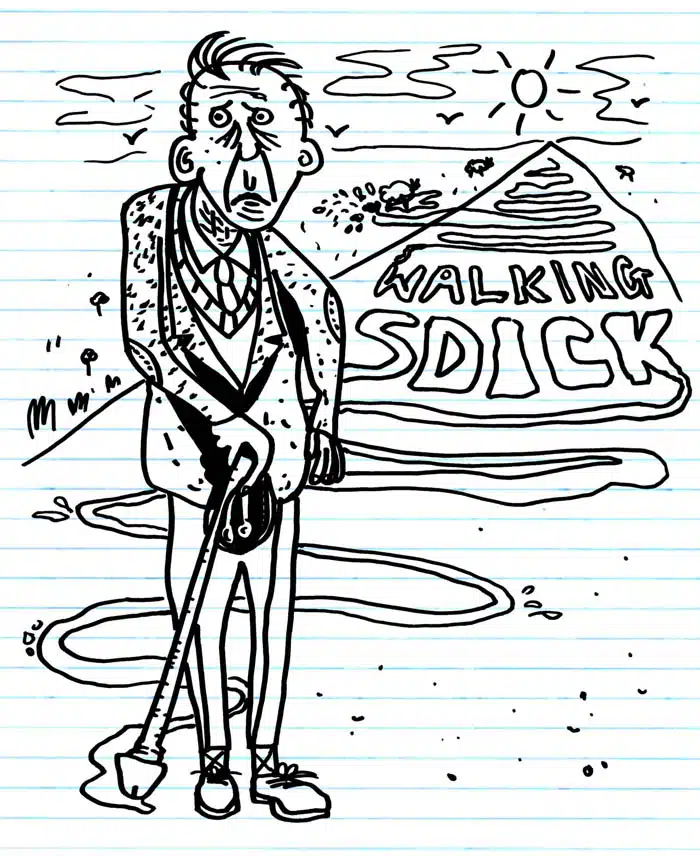 Walking Sdick Walking Sdick