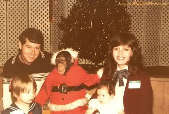 awkward family photos 3