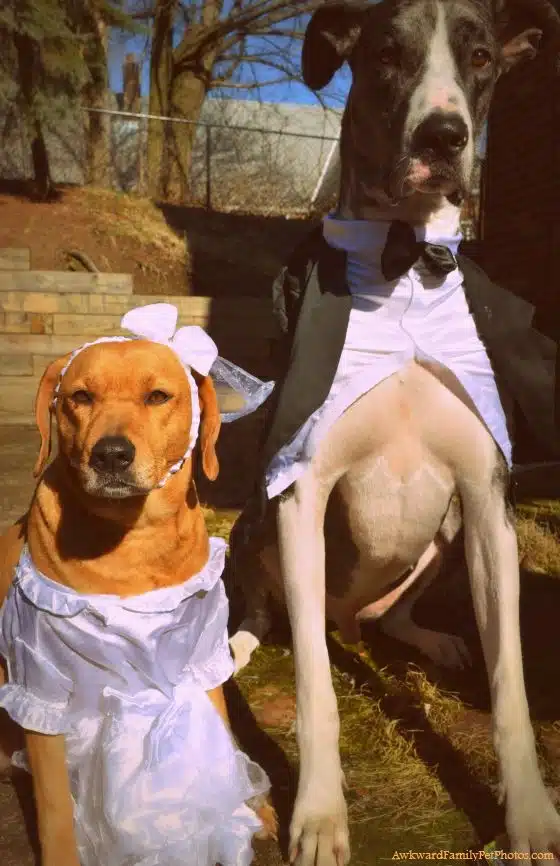 awkward family photos 5