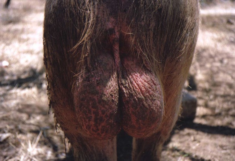 MALE GROOMING - A WARNING MALE GROOMING - A WARNING