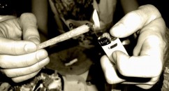 Brighton Could Be The Next Weed Capital Of Europe Green Party wants Brighton to be the next weed capital of Europe. Let's make this happen.