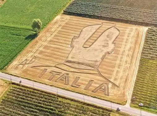 Balotelli-Crop-Circle1