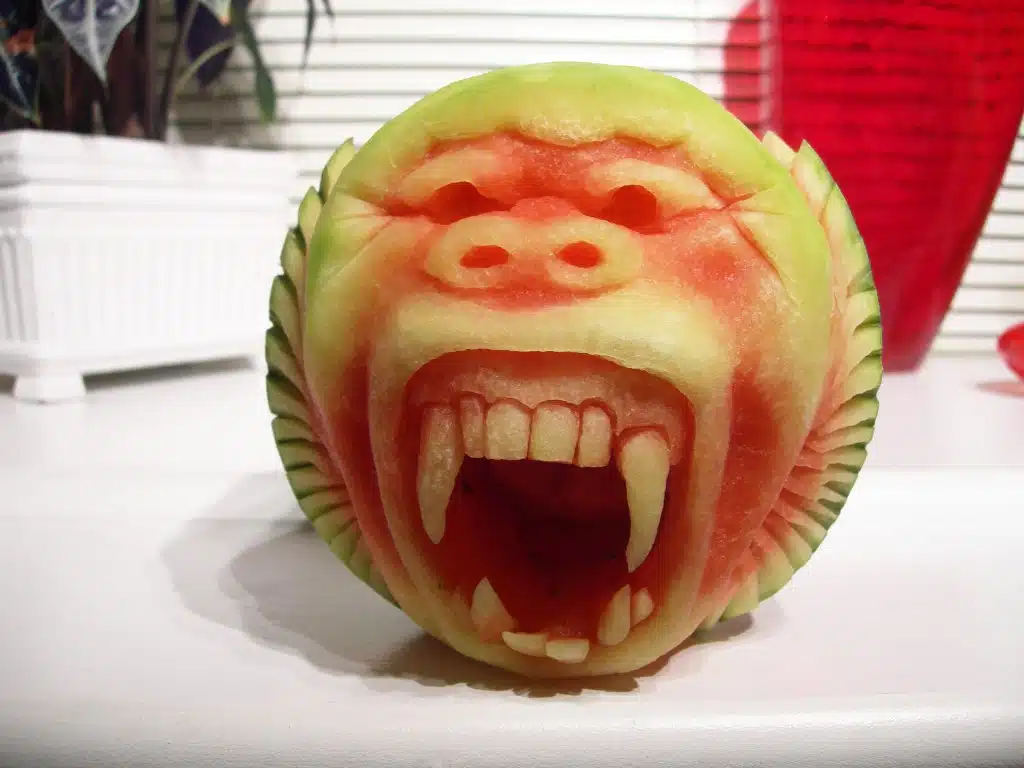 baboon-watermelon baboon