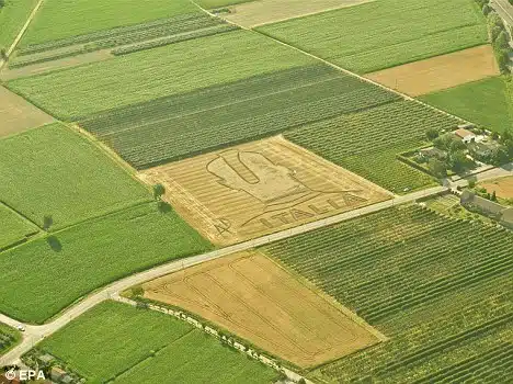 balotelli crop circle 3
