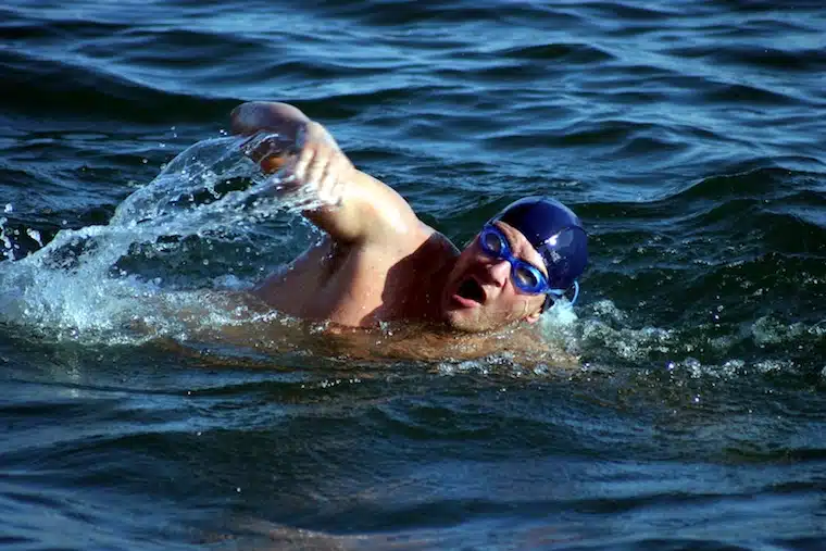 Sea Swimmer Sea Swimmer