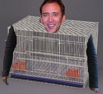 Literal-celebrity-nick-cage - Sick Chirpse