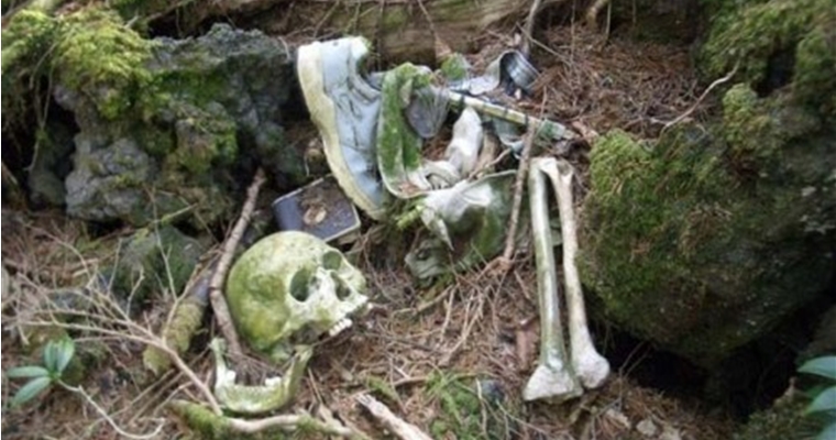 Aokigahara Skull and Bones