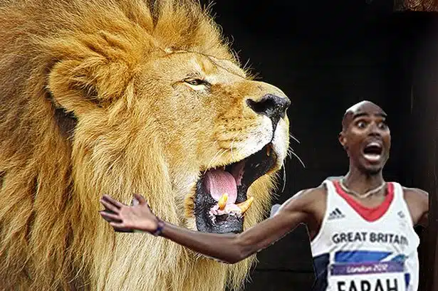 Mo Farah and the Essex Lion Photo shop of Farah and the lion