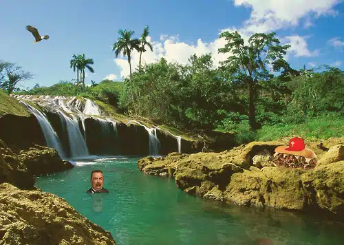 SelleckWaterfallSandwich SelleckWaterfallSandwich