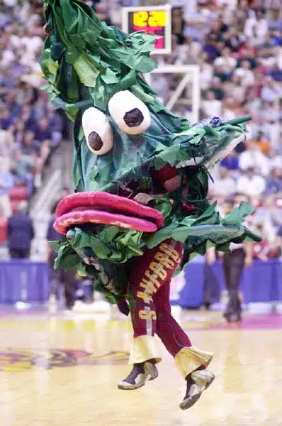 stanfordtree Stanford Tree