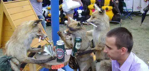 stuffed animals stuffed animals