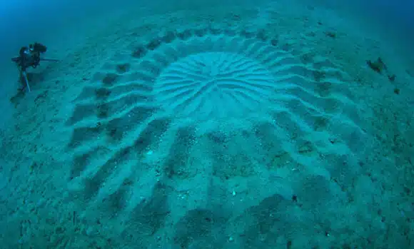 underwater crop circles 2 underwater crop circles 2