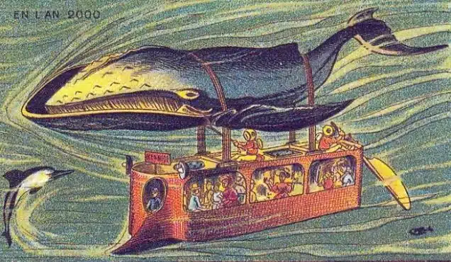 whale bus whale bus