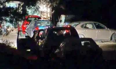 New Sewickley Skunk Shooting - 376 Brewer Road - Incident New Sewickley Skunk Shooting - 376 Brewer Road - Incident