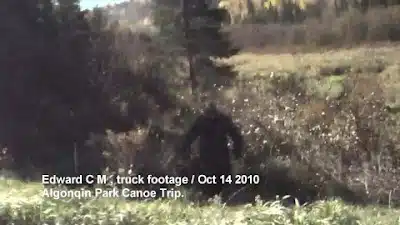 Edward Bigfoot Truck Footage Edward Bigfoot Truck Footage