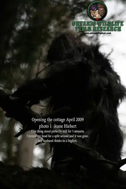Temagami Ontario Bigfoot Temagami Ontario Bigfoot